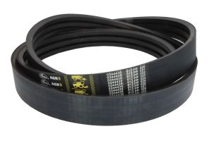 Pasek klinowy 0244438-GAT