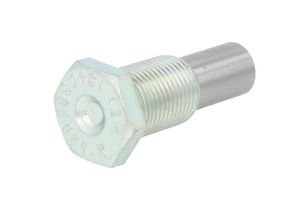 Śruba manualnej skrzyni biegów 1346306089ZF