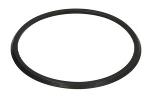 Element mechanizmu automatycznej skrzyni biegów 0501 330 319