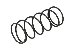 Zabezpieczenie wałka wybieraka mech. skrzyni biegów 0732040630ZF