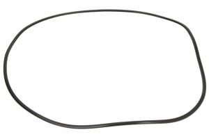 Uszczelniacz skrzyni biegów 0501325800ZF