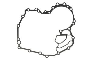 Uszczelka skrzyni biegów 0501338014ZF