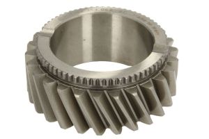 Koło zębate wałka głównego 145759