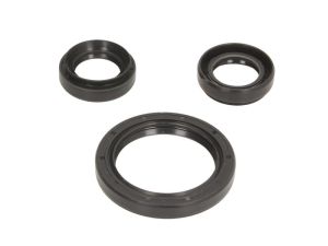 Zestaw naprawczy mechanizmu różnicowego 25-2044-5