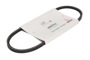 Pasek klinowy 01182207