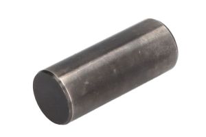 Sworzeń 12991MASIERO