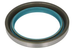 Uszczelniacz zwolnicy 0734300084ZF