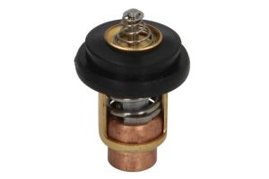 Termostat środka chłodzącego 18-3638