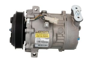 Kompresor klimatyzacji 10-0099