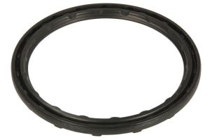 Zestaw naprawczy mechanizmu różnicowego 148688-CR