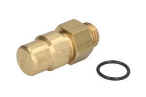 Zawór utrzymujący ciśnienie 2.44021