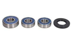 Zestaw łożyska koła 25-1494