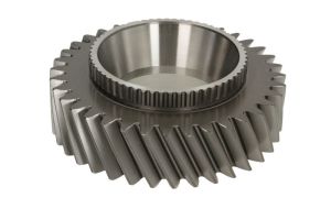 Koło zębate wałka głównego 244088