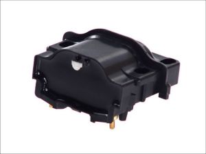 Cewka zapłonowa 060717025012