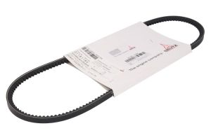 Pasek klinowy 01181184