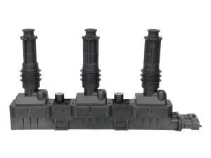 Cewka zapłonowa 060717081012