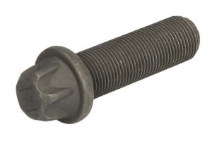 Śruba, tarcza hamulcowa 036.124-00