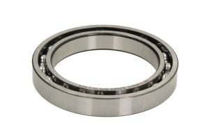 Łożysko, mech. skrzyni biegów 0750116165ZF