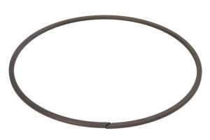 Pierścień zabezpieczający 0730513906ZF