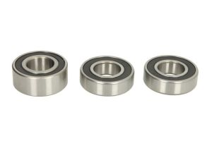 Zestaw łożyska koła 25-1747