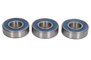 Zestaw łożyska koła 25-1251