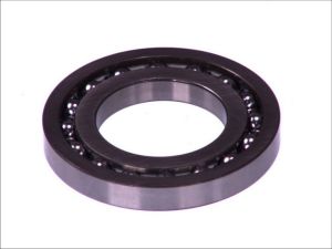 Element pompy paliwa 1 460 925 001