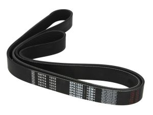 Pasek wieloklinowy 2.21145