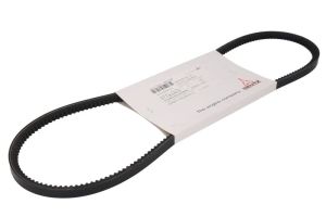 Pasek klinowy 01183403