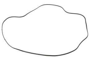 Uszczelniacz skrzyni biegów 0501323522ZF