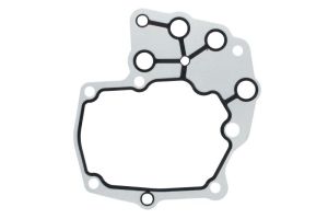 Uszczelka skrzyni biegów 239447