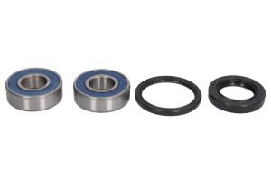 Zestaw łożyska koła 25-1601