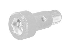 Śruba przewodu olejowego (drążona) 037655