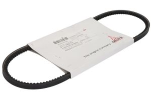 Pasek klinowy 01179474