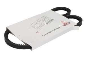 Pasek klinowy 01182061