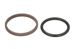 Uszczelka skrzyni biegów 0501320897ZF