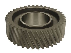 Koło zębate wałka głównego 244031