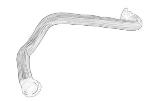 Pokrywa napędu rozrządu 1192CN