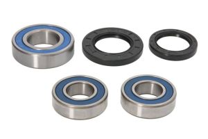 Zestaw łożyska koła 25-1749