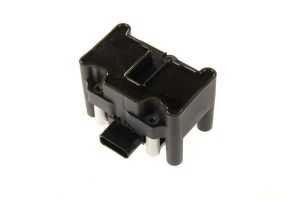 Cewka zapłonowa 060717042012