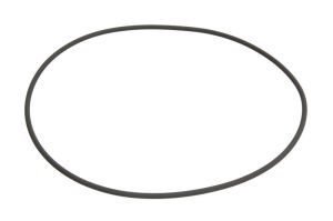 Oring 0501323690ZF