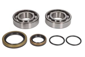 Zestaw naprawczy wału korbowego 24-1128