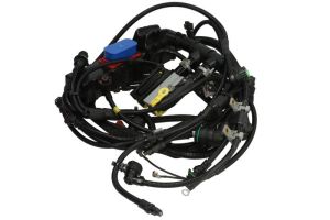 Złącze elektryczne zaworu wtryskiwacza 250.680-00