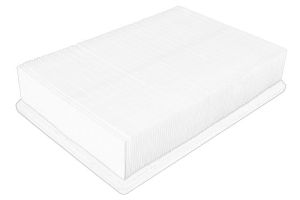 Filtr powietrza 1654600Q3E