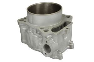 Cylinder silnika 10003