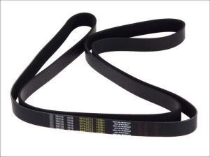 Pasek wieloklinowy 1.21858