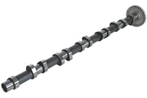 Wałek rozrządu 20 1002 20661