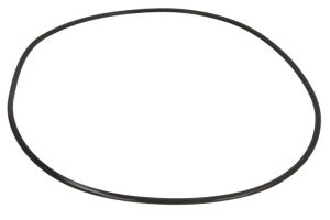 Uszczelniacz skrzyni biegów 0501324126ZF