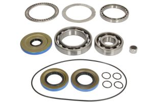 Zestaw naprawczy mechanizmu różnicowego 25-2121