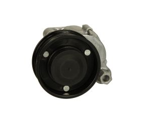 Napinacz paska wieloklinowego 100.133-00