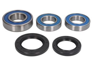 Zestaw łożyska koła 25-1493